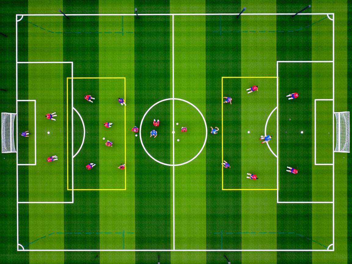 开云体育在线官网-大数据结合体质测评推进个性训练普及，大数据支撑下学生个性化发展评价探索  第3张