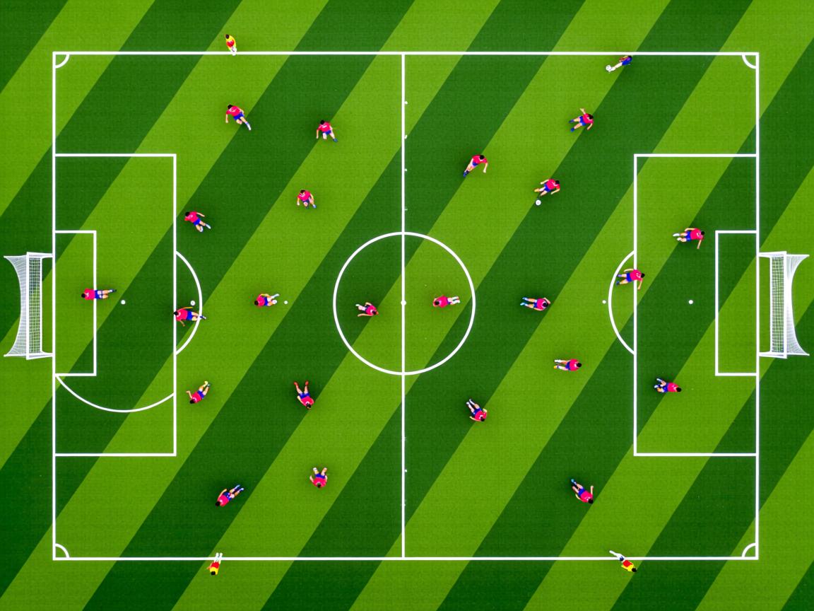 开云官方网-女子200蝶滑行段技术分析，女子200米碟泳世界纪录  第2张