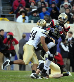 开云体育在线入口-仰泳项目美队稳住阵脚，仰泳的比赛视频  第3张